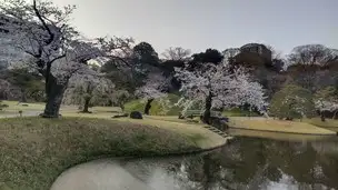 小石川後楽園230322 (8)_01