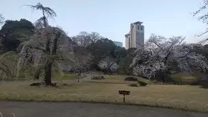 小石川後楽園230322 (10)_02
