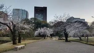 小石川後楽園230322 (19)_04