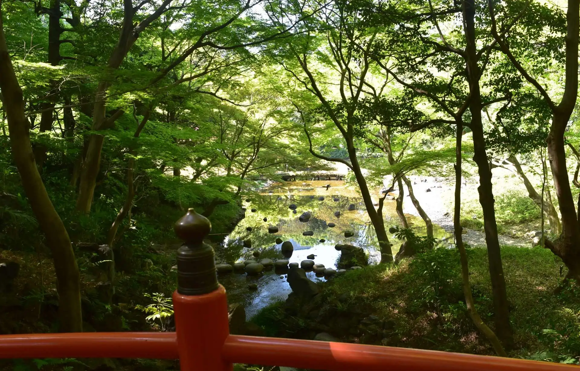 フジが見ごろを迎えました（４月12日）_04