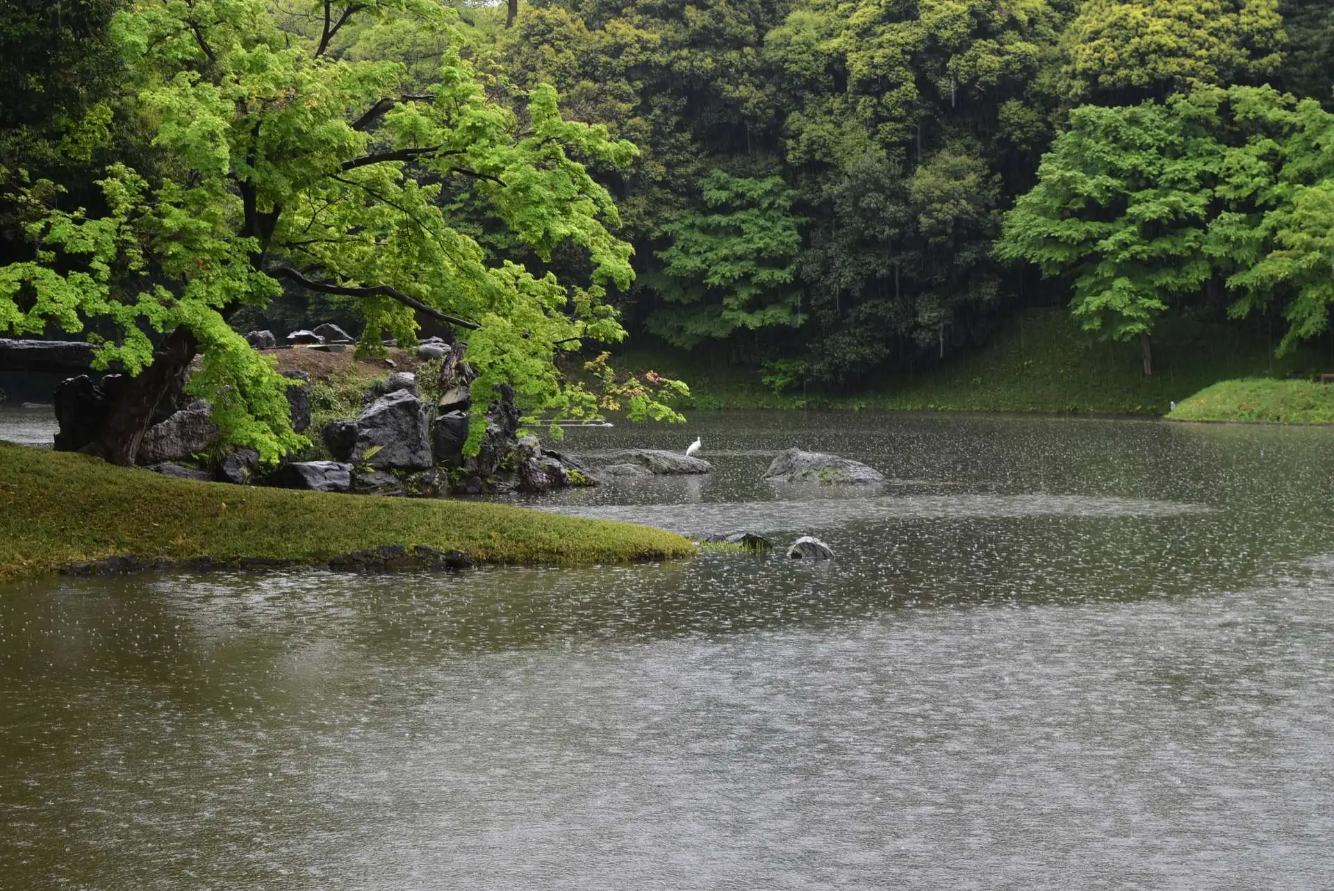 230415ooizumisui_01