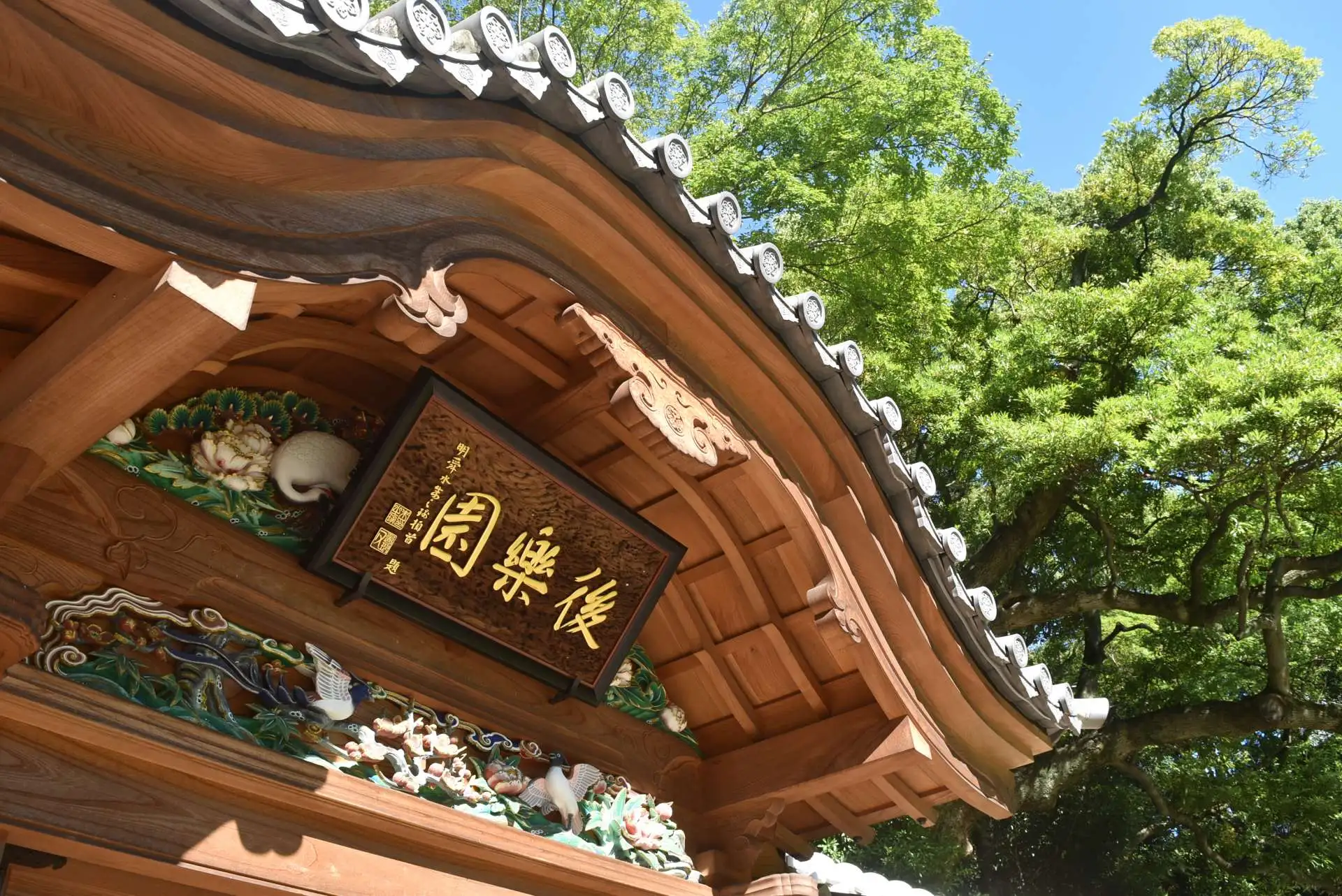 「寒露（かんろ）」　10/8～10/23の見どころ_04