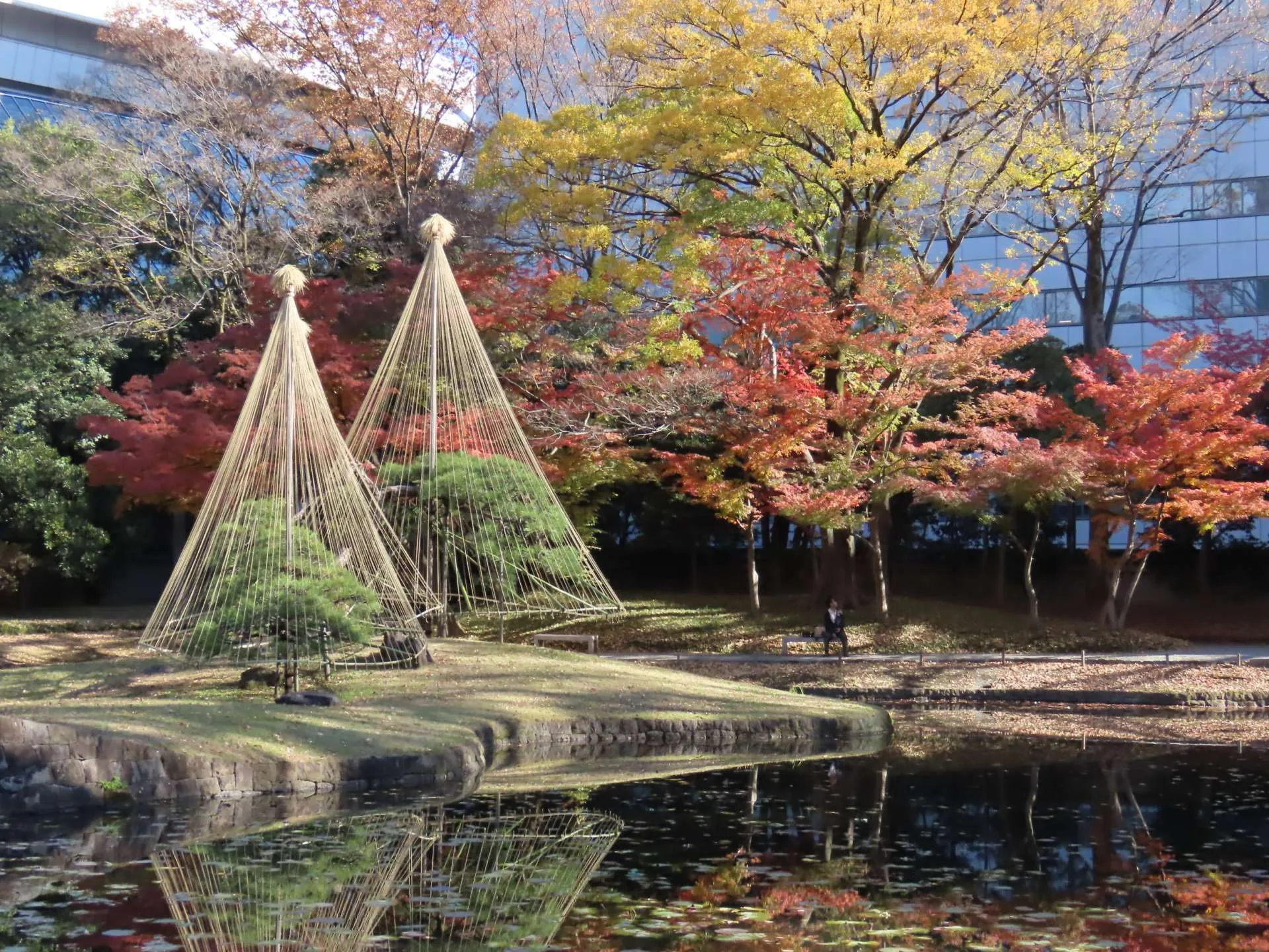 5_231201