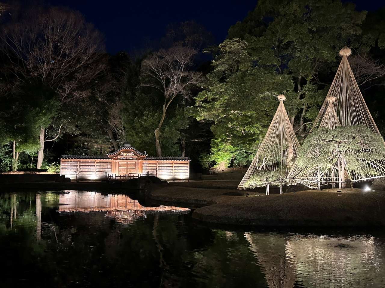 夜間特別開園「小石川後楽園 深山光葉を楽しむ」 令和8年11月13日(金
