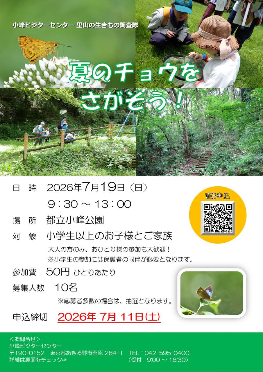 【チラシ】小峰公園スタッフと歩く「昆虫の里」夏のチョウをさがそう！2024072001