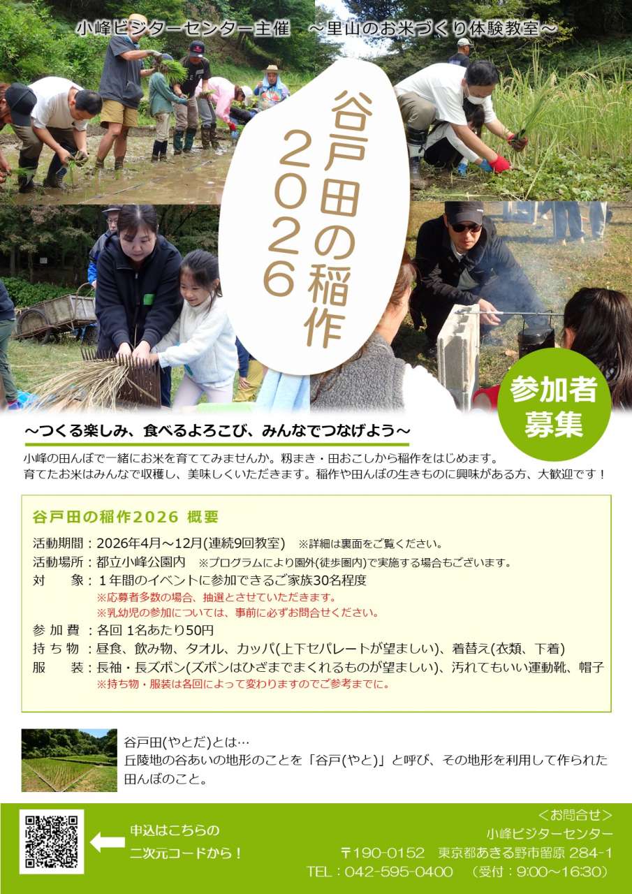 【チラシ表面】谷戸田の稲作2026