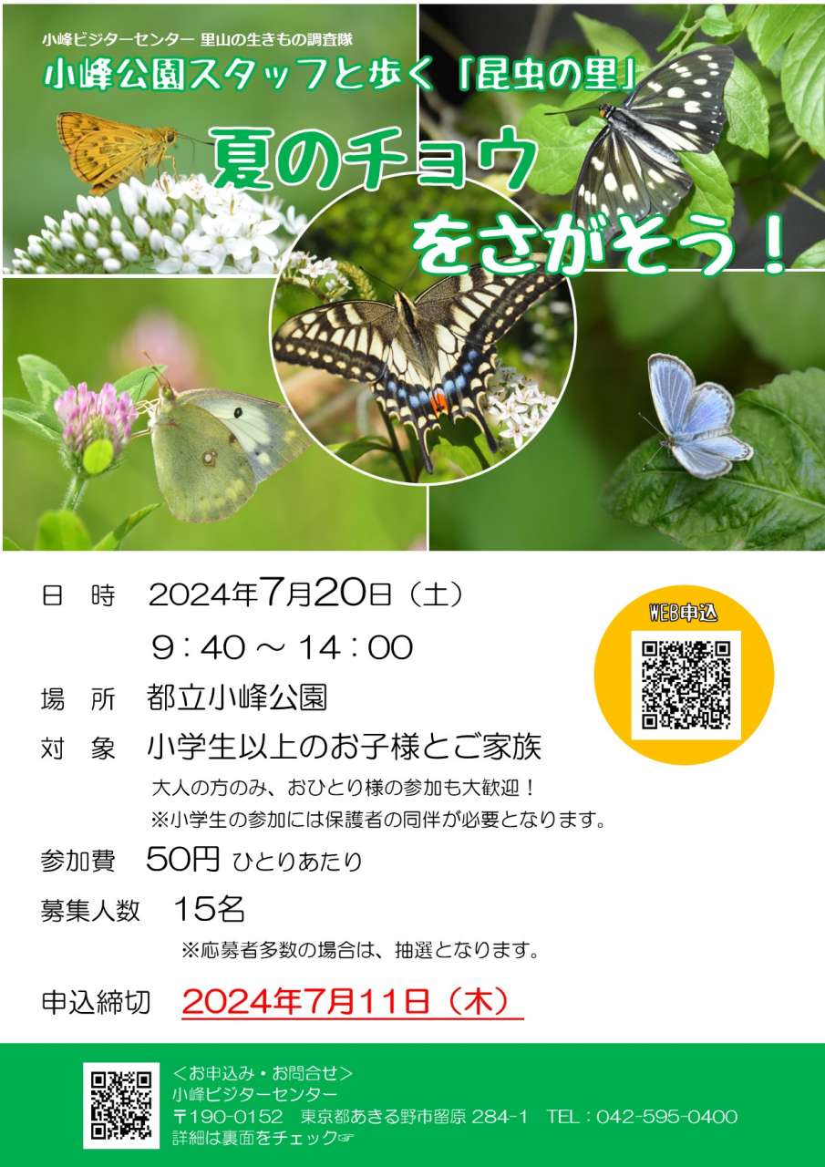 【チラシ_表】小峰公園スタッフと歩く「昆虫の里」夏のチョウをさがそう！20240720