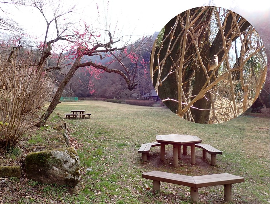 じょび広場