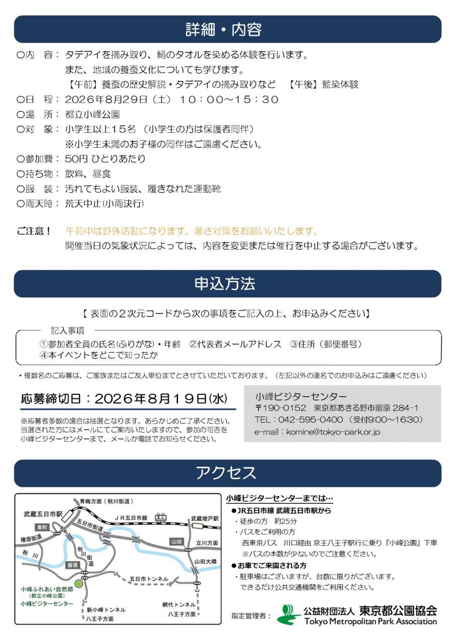 チラシ裏面