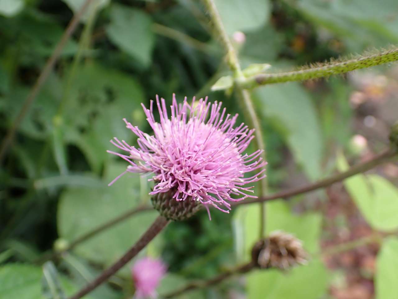 P9200059