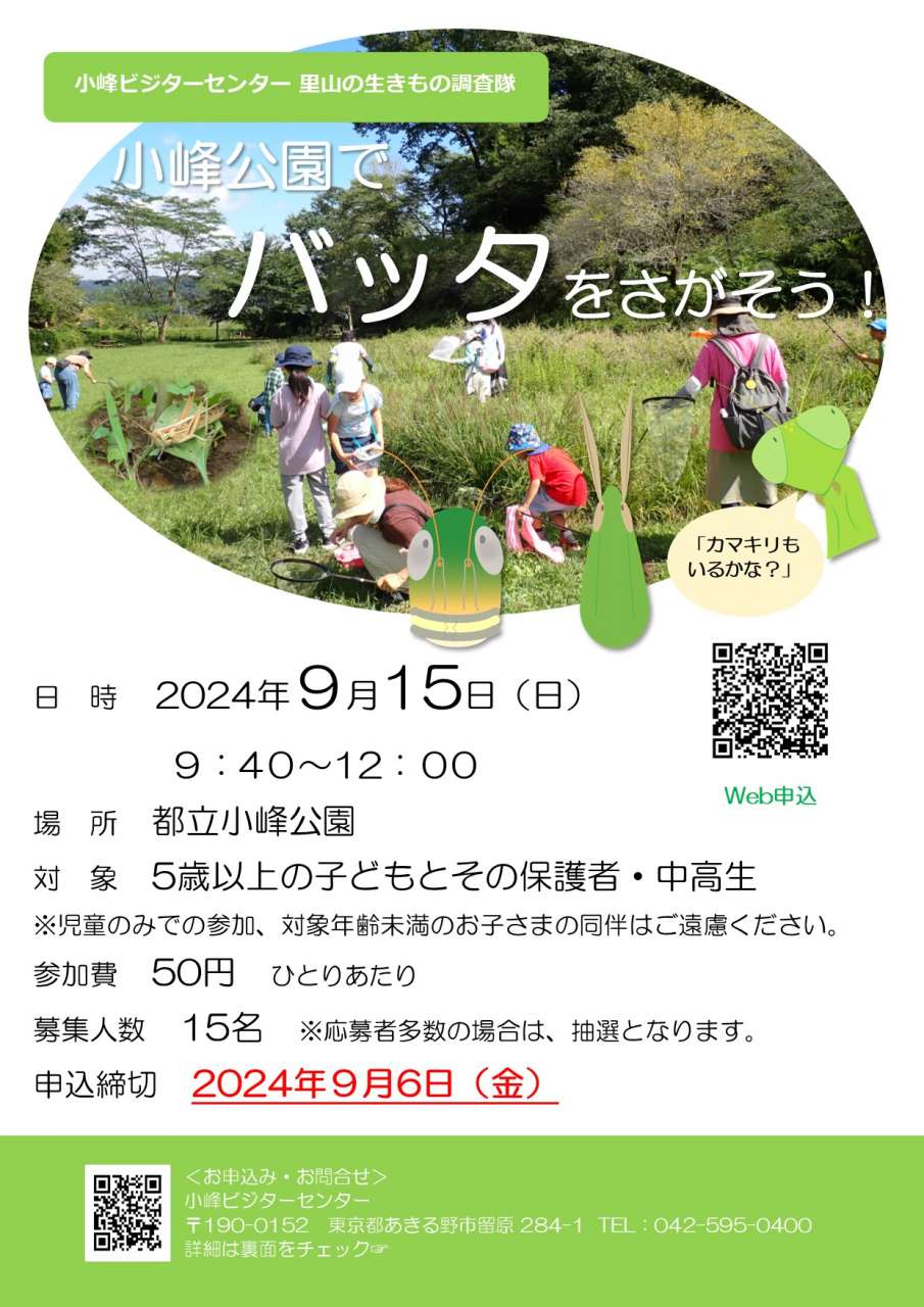 バッタ調査2024