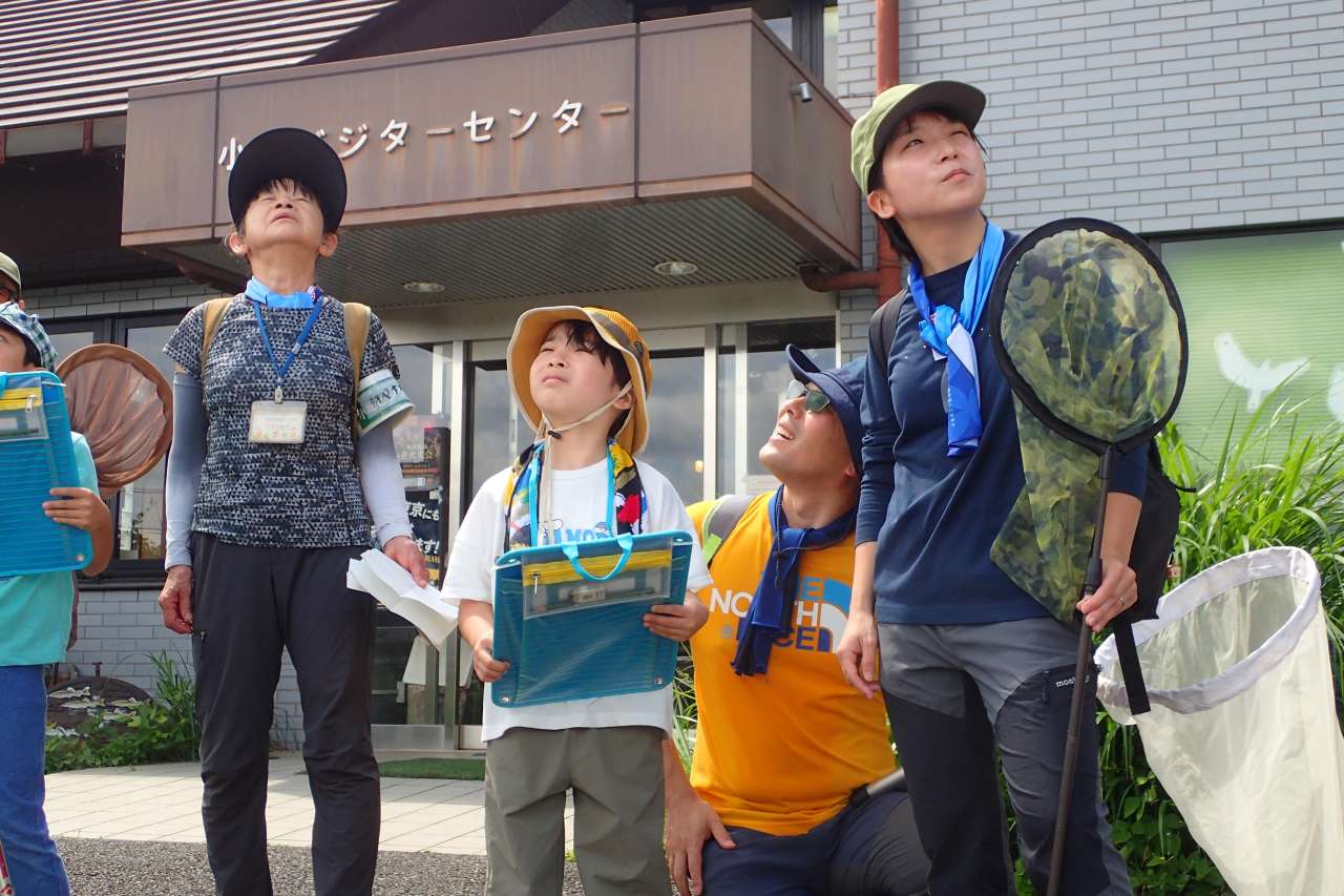 夏のチョウを探そう (1)