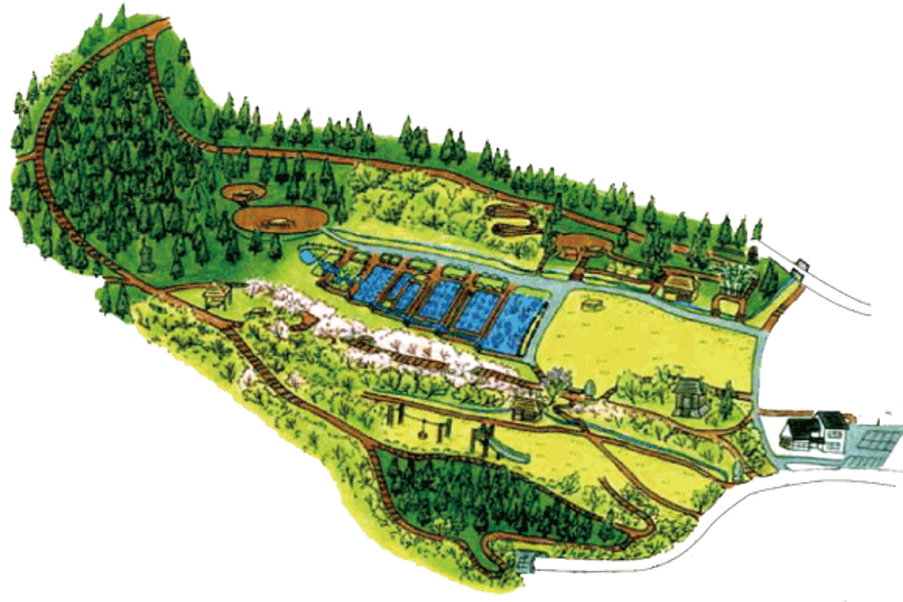 小峰の里山