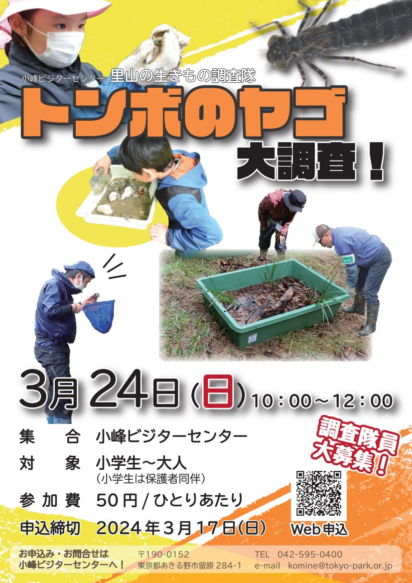 小峰公園_都民協働PG_トンボのヤゴ大調査！_チラシ（表）