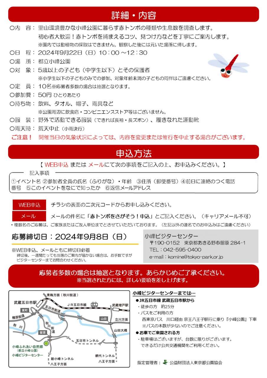 裏