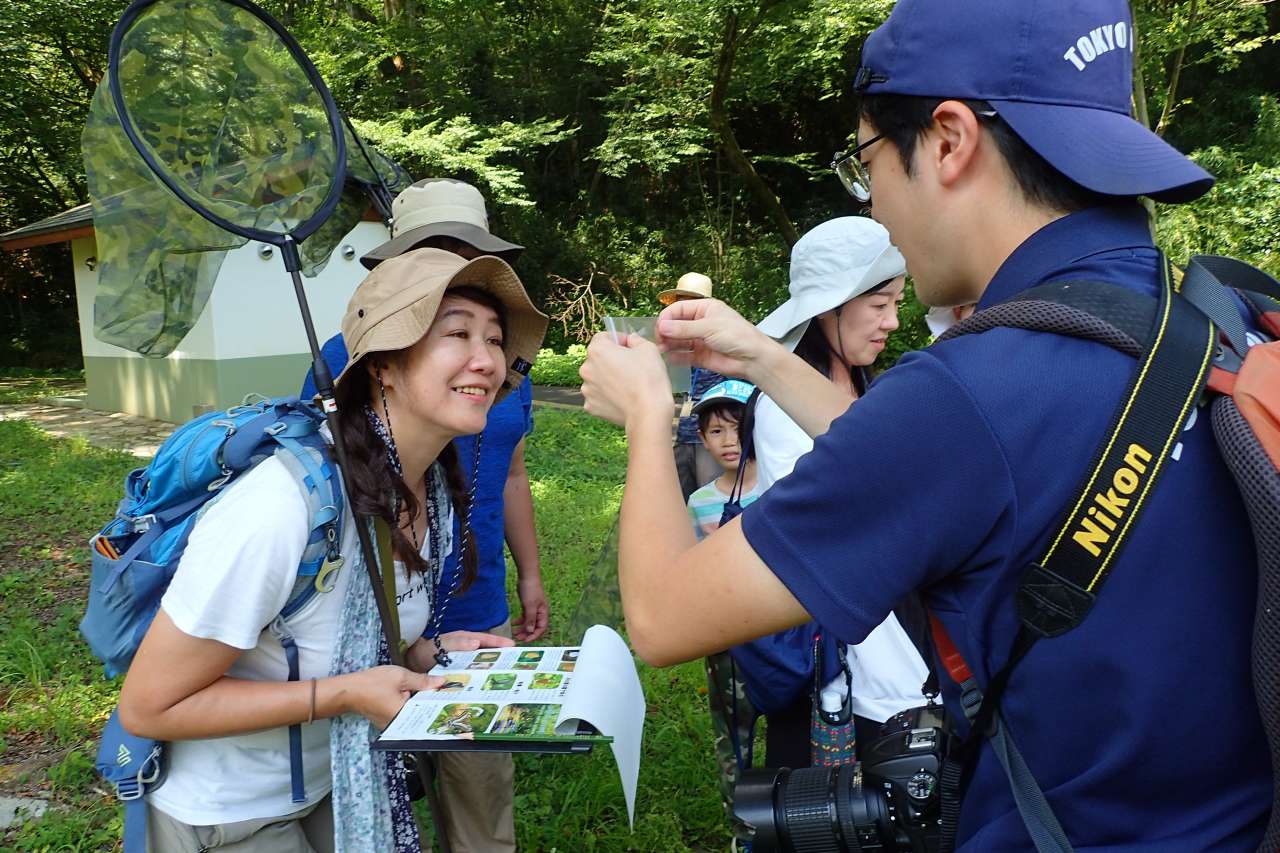 都民協働型生きもの調査（チョウ）2024 (3)