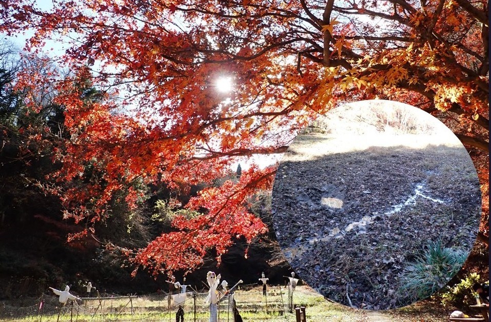 里山蒐場