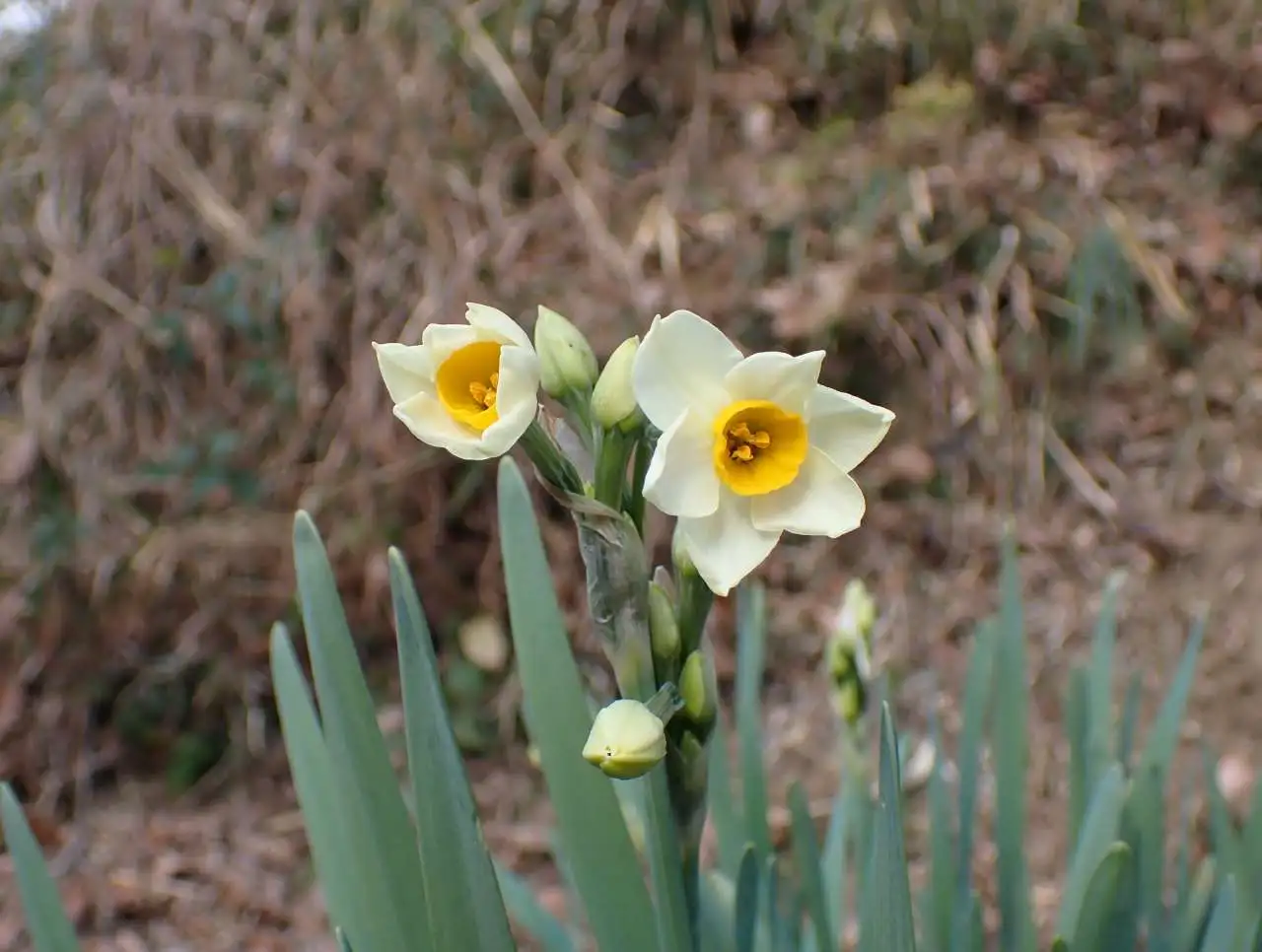 P1070366
