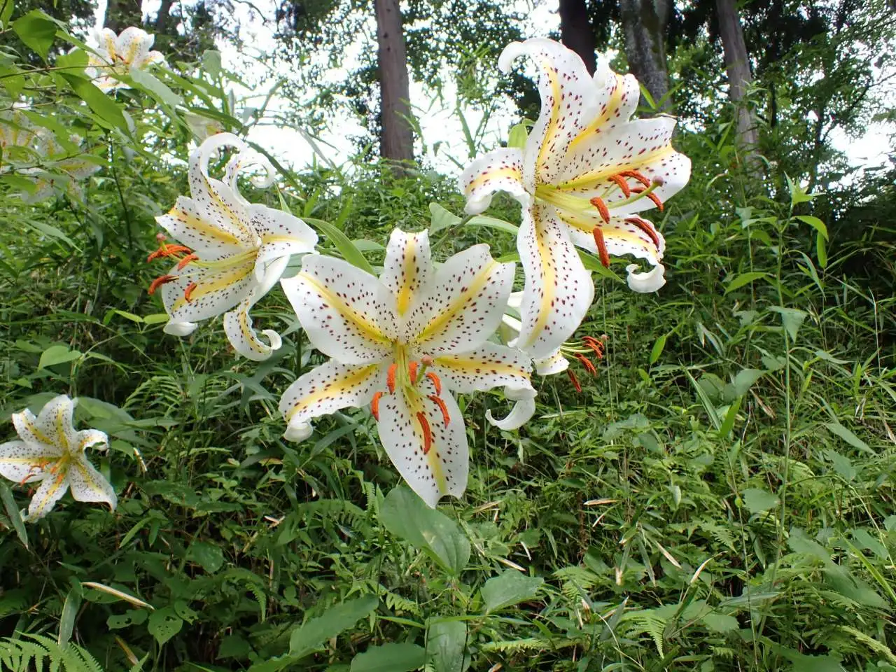 P7080079