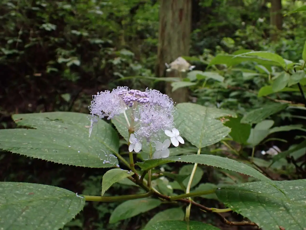 P8310027