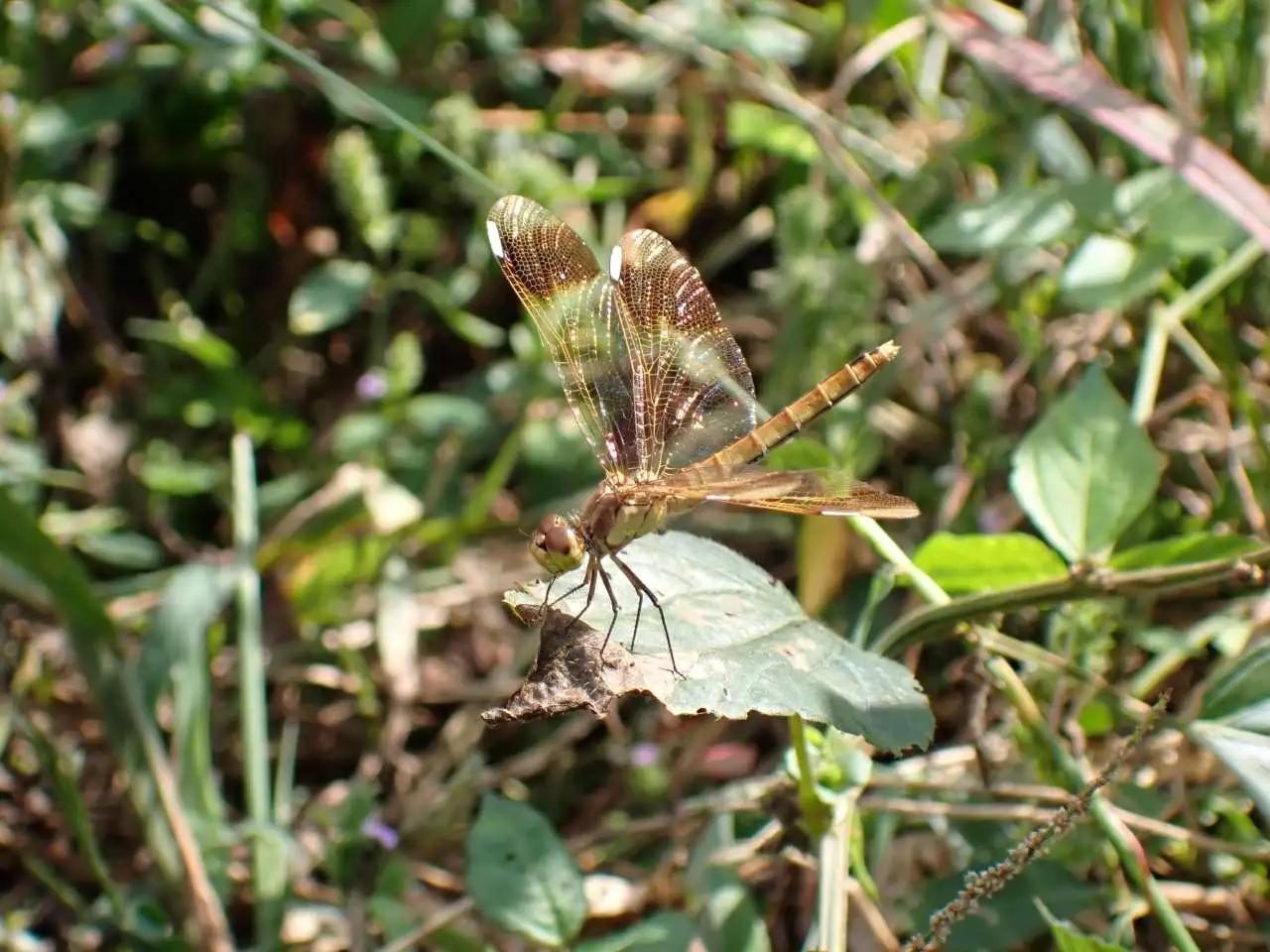 P9300317