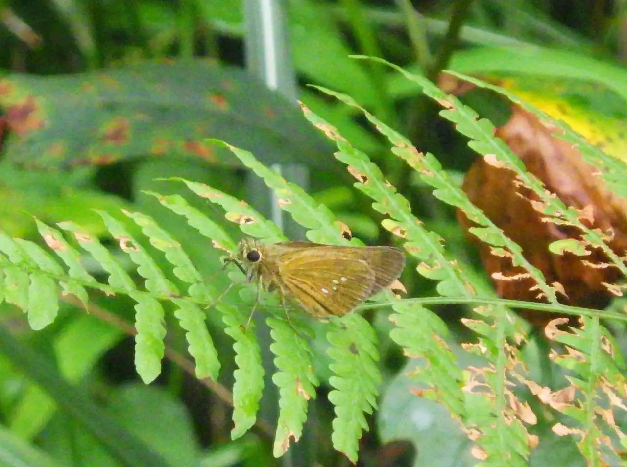 RIMG0338