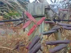 EndureWinter-thumb-240xauto-110947