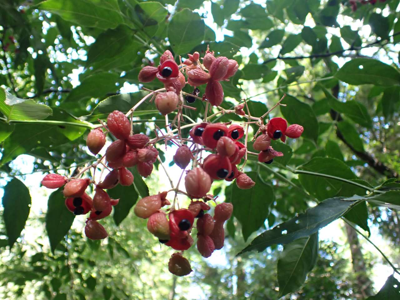 nature 9 1 (2)