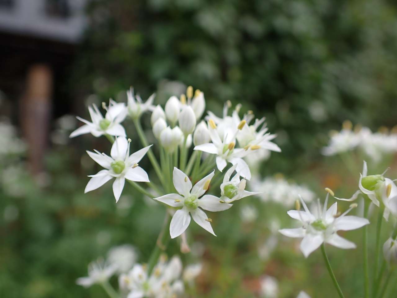 nature 9 1 (4)
