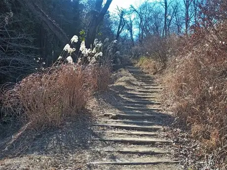 桜尾根2201-2_04