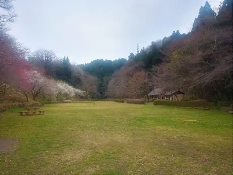 fureai field2203_02