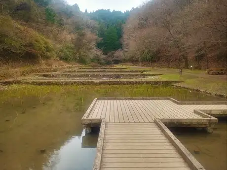 rice field valley2203_03