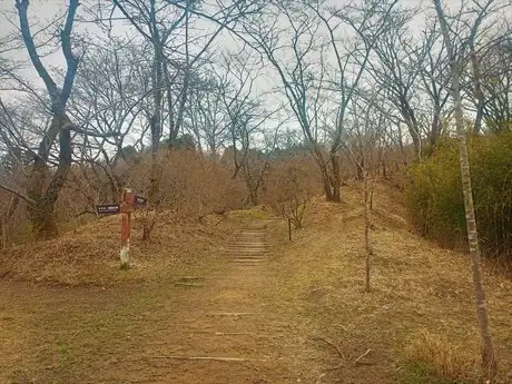 sakura ridge2203_04