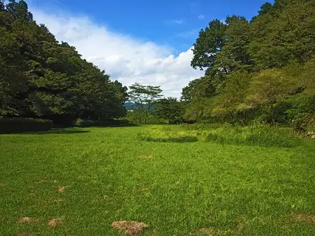 『多摩の里山見本園』の四季　8月_02