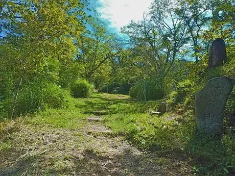 『多摩の里山見本園』の四季　8月_04