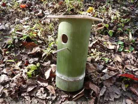 巣箱作製例②_02