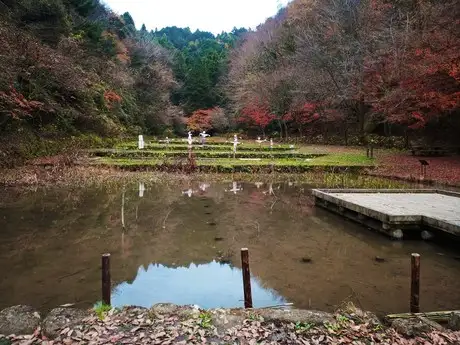 『多摩の里山見本園』の四季 11月_03
