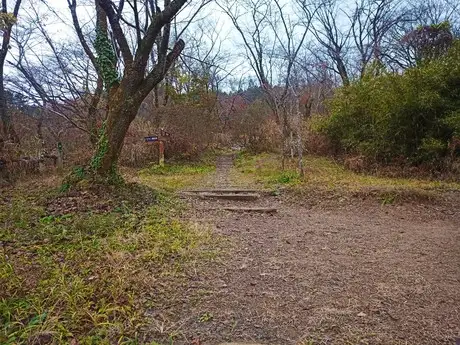 『多摩の里山見本園』の四季 11月_04