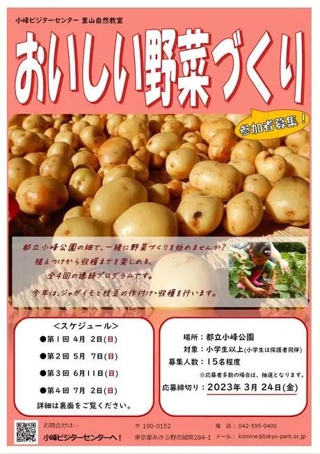 野菜2023チラシ①_01