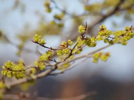 OilChang_03