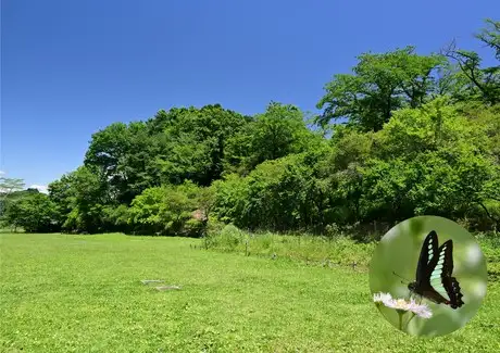 HP202305➀ふれあい広場_02