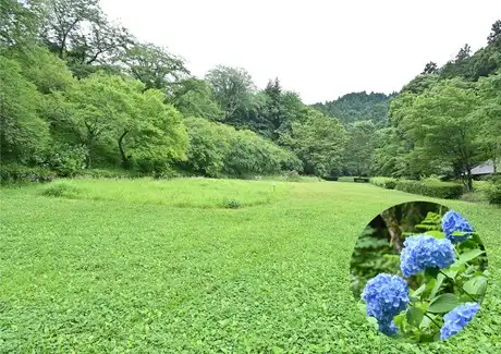 ➀ふれあい広場2306_02