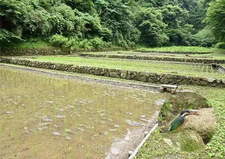 ②谷戸田2306_03