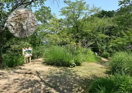 『多摩の里山見本園』の四季 7月_04
