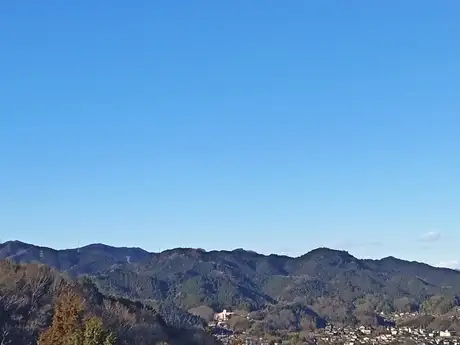 1月の見どころ（27日）「早春の小峰公園①」_04