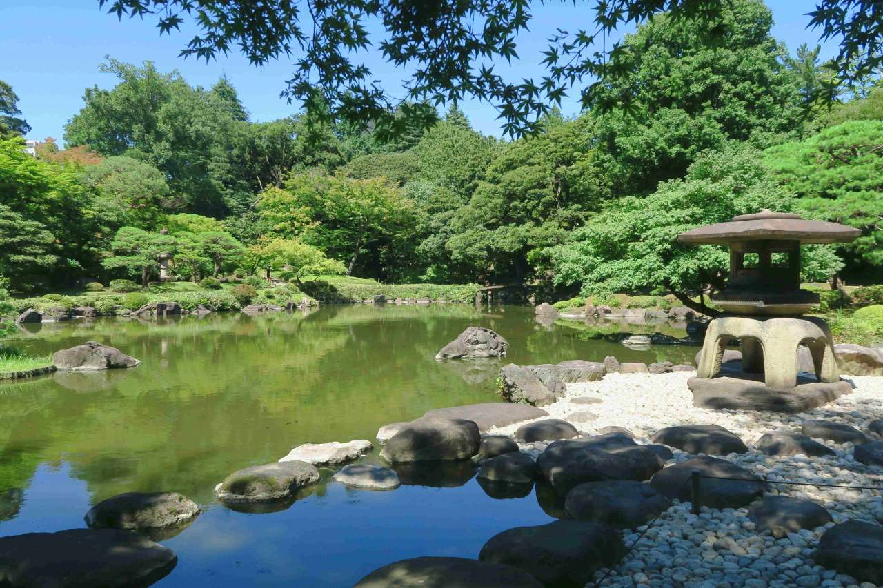 心字池(旧古河庭園)