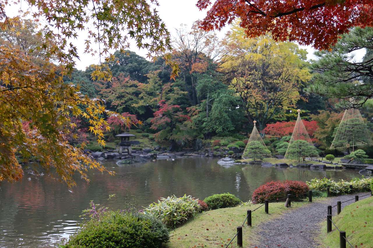 旧古河庭園241126大滝付近からの眺め