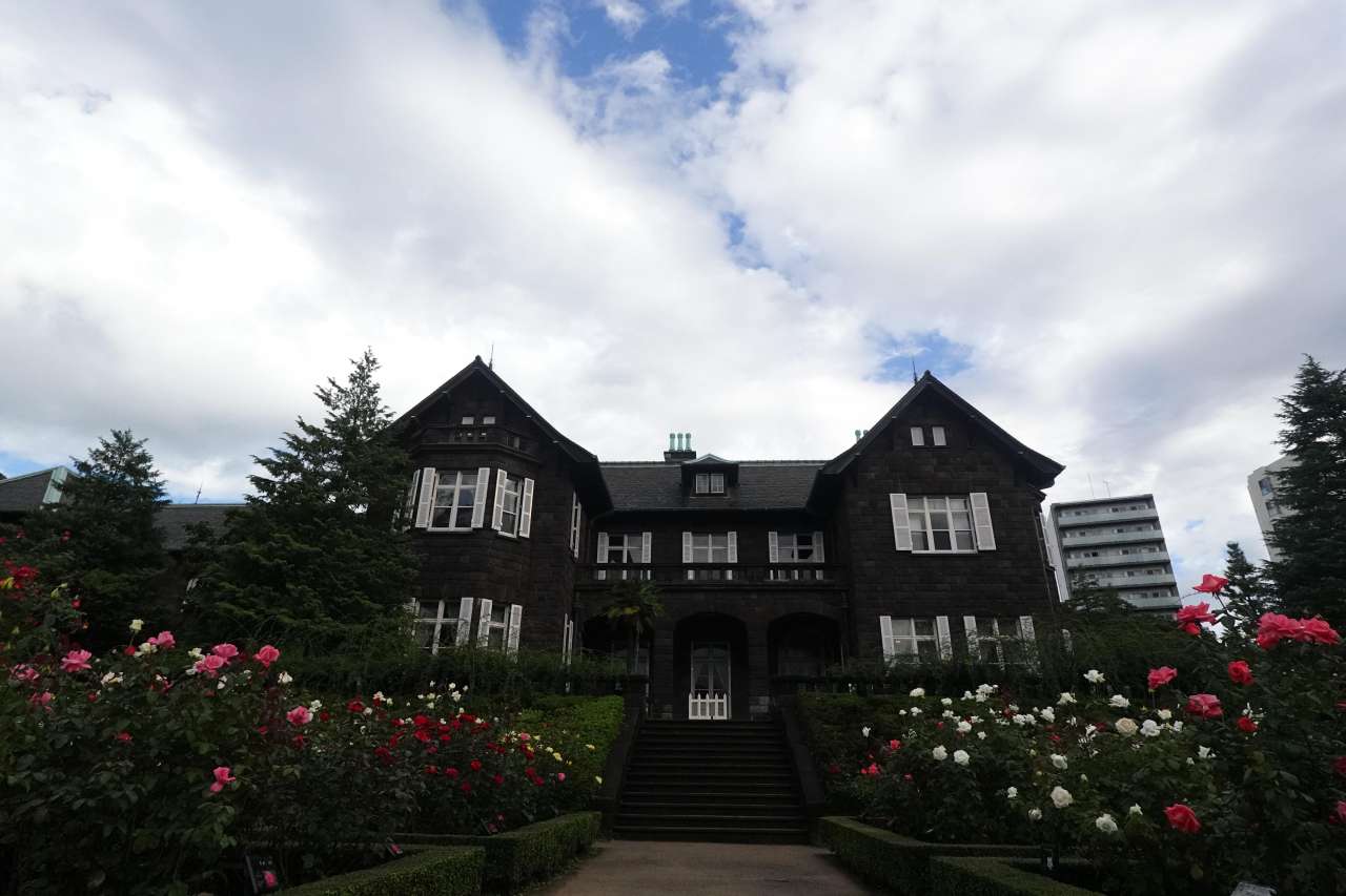 旧古河庭園251027バラ園の様子 (8)