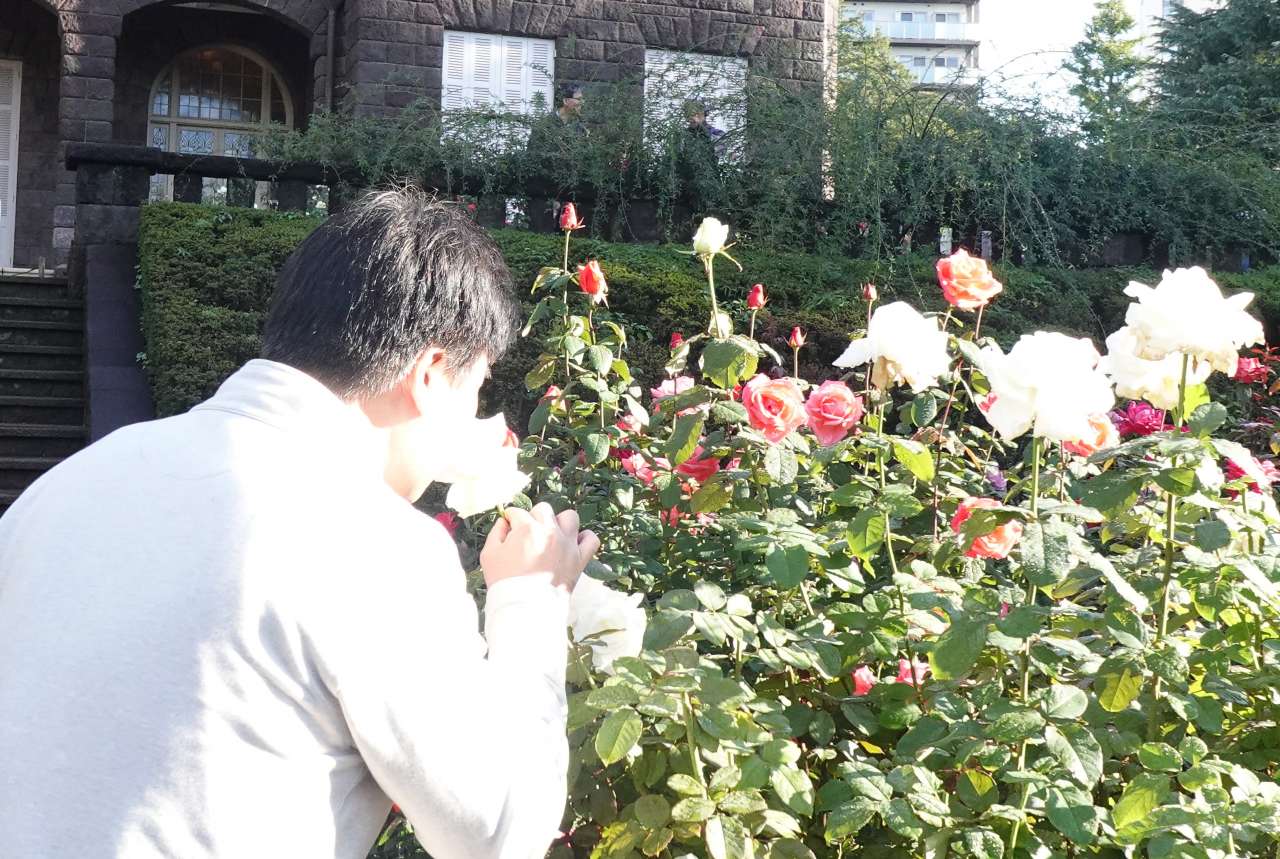 旧古河庭園251101庭さんぽ (25)