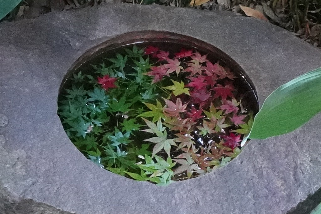旧古河庭園251110手水鉢